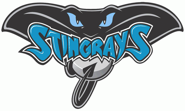 Hull Stingrays 2006-2015 Primary Logo iron on transfers for clothing